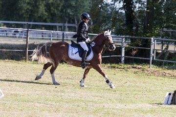 Bild 96 - Pony Akademie Turnier